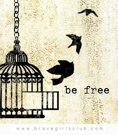 Bird Escaping Cage Drawing, Bird Out Of Cage, Bird And Cage Tattoo Freedom, Freedom Tattoo Ideas For Women, Bird Cage Illustration, Freedom Drawing, Freedom Tattoo, Birdcage Tattoo, Quotes Freedom