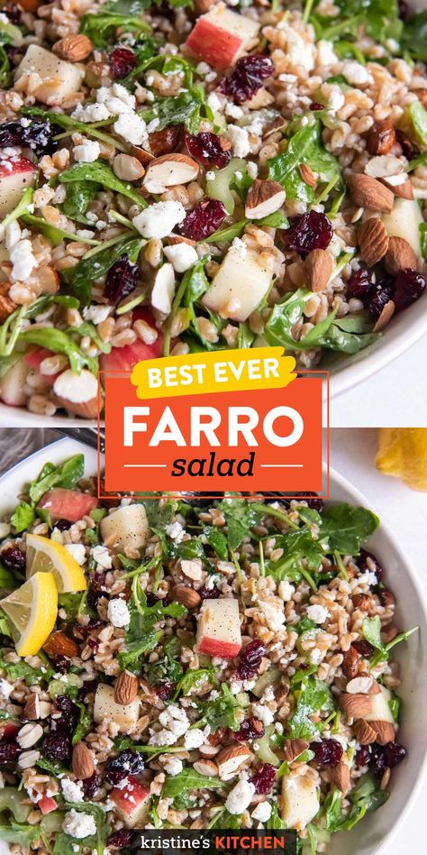 This is the best Farro Salad recipe, packed with delicious flavors and textures! With cranberries, apple, arugula and feta cheese, this healthy farro salad is perfect for lunch, dinner or a side dish. Grain Salad Recipes, Farro Salad Recipes, Farro Recipes, Farro Salad, Grain Salad, Mediterranean Diet Recipes, Healthy Salad Recipes, Healthy Salads, Grocery List