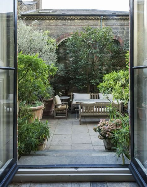 A Study in Serenity: Designer Rose Uniacke's Tranquil Terrace Garden - Gardenista Rooftop Gardens, Small Courtyard, Small Courtyard Gardens, Garden Patio Decor, Courtyard Gardens Design, Small Courtyards, Small Garden Ideas, Courtyard Gardens, London Garden