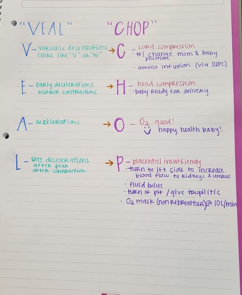 "VEAL" "CHOP" OB interventions Nursing Ob, Veal Chop Nursing, Ob Nursing Notes, Obgyn Nursing Notes, Ob Nurse, Veal Chop Mine Nursing, Ob/peds Nursing School, Maternity And Pediatric Nursing, Nursing School Life