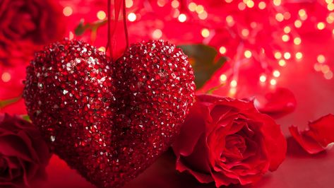 st valentine day, rose, heart, romance, love 4k st valentine day, Rose, Heart Image St Valentin, Rose Day Wallpaper, Valentines Pictures, Selamat Hari Valentine, Quotes Valentines Day, Happy Valentines Day Wishes, Happy Womens, Roses Only, Happy Valentines Day Images