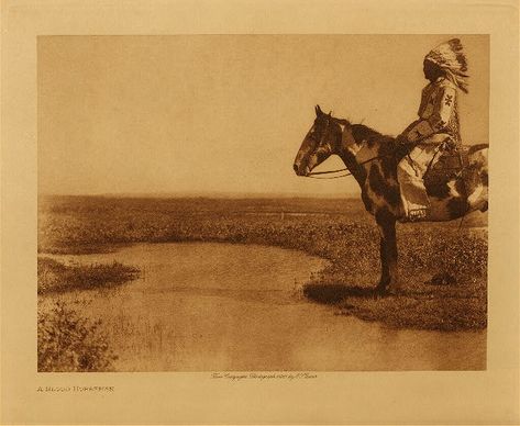 A Blood horseman,1926. Edward Sheriff Curtis Photography. Native Horse, Edward Curtis, Turtle Island, Light Writing, Indian Pictures, American Photo, Into The West, Native American Photos, Portfolio Images