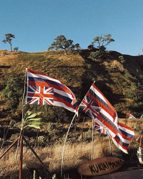 We Are Mauna Kea #protectmaunakea Mauna Kea, Hawaiian Monarchy, Hawaiian Quotes, Hawaiian Flag, Hawaii Flag, Mauna Loa, Hawaii Adventures, Polynesian Art, Polynesian Culture