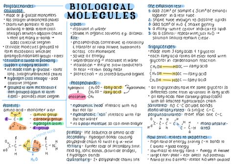 #notes #goodnotes #asthetic #alevels #ipadpro #ipadnotes #biology Chemistry Asthetic Notes, Bio Molecules Notes, Chemistry Of Life Biology, A Level Biology Notes Biological Molecules, Biological Molecules A Level, Alevel Bio Notes, Goodnotes Biology Notes, Biological Molecules Notes, Biology Alevel Notes