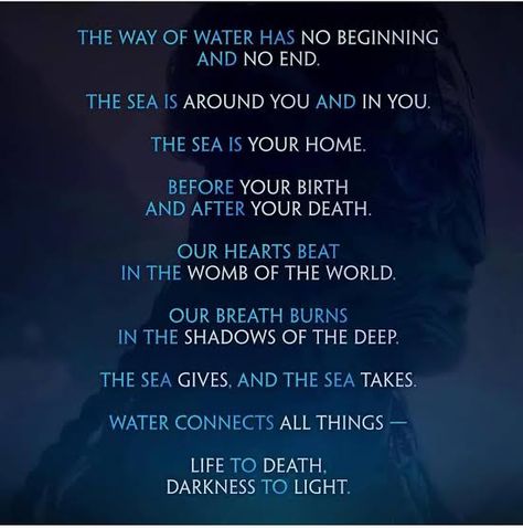 The Way of Water Has No Beginning and No End « Thought Might The Sully Family, Jake Neytiri, James Cameron Avatar, Sully Family, Avatar Quotes, Water Quotes, Importance Of Water, Ending Quotes, Avatar The Way Of Water