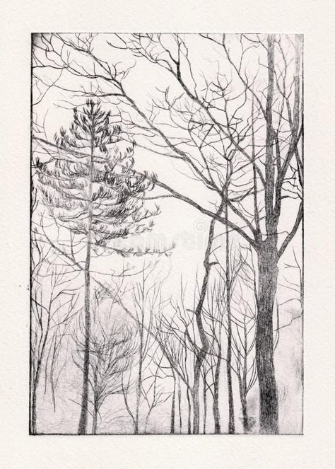 Tree Etching, Black Ink Illustration, Free Wall Art Prints, Wood Etching, Intaglio Printmaking, Dry Point, Tree Sketch, Drypoint Etching, Free Wall Art