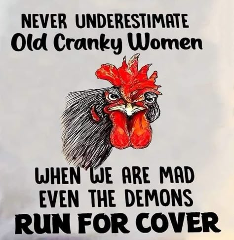 Verknipte Humor, Senior Humor, Funny Day Quotes, Chicken Pictures, Cartoon Chicken, Crazy Chicken, Morning Quotes Funny, Funny Quotes Sarcasm, Good Morning Funny