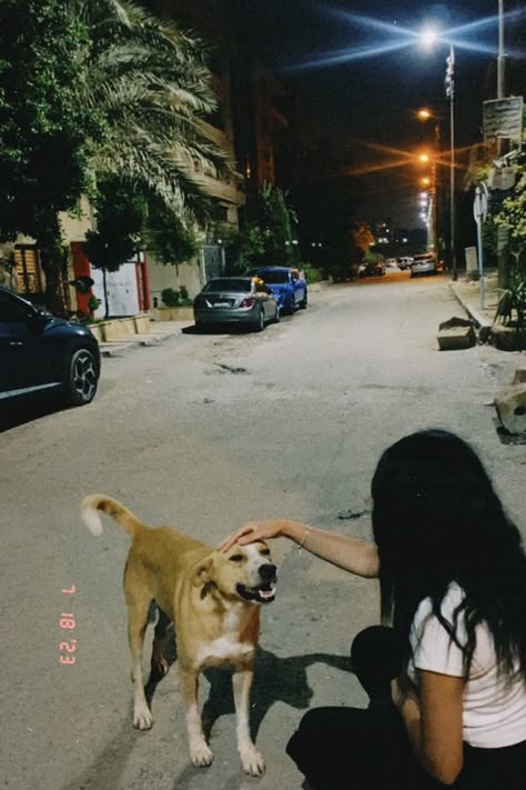 Pets Aesthetic, Night Rides Snapchat, Attitude Bio For Instagram, Husky Pics, Snap Streak Ideas Easy, Dog Poses, Cute Images For Dp, Street Dogs, Snap Friends