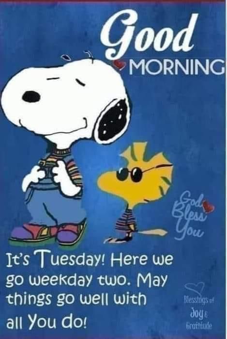 Tuesday Quotes Good Morning, Good Morning Snoopy, Tuesday Quotes, Fox Pictures, Tuesday Morning, Good Morning Sunshine Quotes, Snoopy Funny, Good Morning Wishes Quotes, Snoopy Images