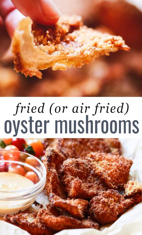 Fried Oyster Mushrooms Royal Trumpet Mushroom Recipe, Oyster Mushrooms Recipes, Pink Oyster Mushroom Recipe, Fried Oyster Mushroom Recipe, Blue Oyster Mushrooms, Pink Oyster Mushroom, Fried Oyster Mushrooms, Mushroom Recipes Vegan, Oyster Mushroom Recipe