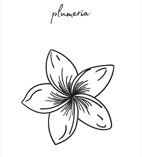 Hawaiian Flower Tattoos, Flower Stencils, Flower Sketch, Botanical Line Drawing, Hawaiian Flower, Flower Stencil, Hawaiian Flowers, Cool Ideas, Tattoo Inspo