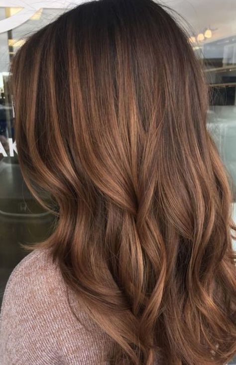 Hazelnut Hair Color, Hazelnut Hair, Hairstyles For All Hair Types, Warm Brown Hair, Chestnut Hair, Chestnut Hair Color, Honey Brown Hair, Brown Hair Inspo, Caramel Highlights