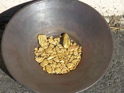 What to do with Your Gold Gold Mining Equipment, Natural Gold Nugget, Gold Deposit, Rock Collecting, Money Smart, Gold Panning, Panning For Gold, Gold Bullion Bars, Scrap Gold