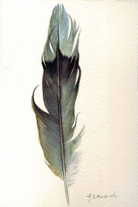 Mockingbird feather  Represents finding your soul purpose Watercolor Feather, Feather Painting, Feather Art, Feather Tattoos, Arte Inspo, Unique Tattoo, Arte Animal, Watercolor Inspiration, Art And Illustration