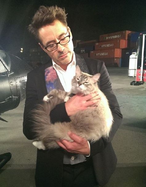 Celebrities With Cats, Men With Cats, Toni Stark, Robert Downey Jr Iron Man, Marvel Actors, Jim Carrey, Downey Junior, Cat People, Robert Downey