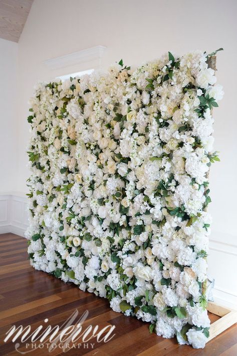 White faux flower wall. St. Augustine Wedding Florist: Jade Violet Wedding Floral Wedding Photographer: Minerva Photography St. Augustine Wedding Venue: The White Room #staugustinewedding #staugustineflorist #timelesswedding Faux Flower Wall, St Augustine Wedding, Violet Wedding, Flower Wall Wedding, Floral Wedding Decorations, Flower Walls, Flower Wall Backdrop, Wedding Wall, Decor Studio