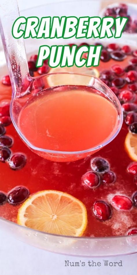 Cranberry Punch is the perfect holiday season drink! Sweet and delicious, it’s a crowd pleaser every year! #numstheword #cranberry #punch #sweet #drinks #holidays #gatherings Punch With Cranberry Juice, Cranberry Juice Recipes, Best Diy Christmas Gifts, Cranberry Ginger Ale, Cocktails For Christmas, Fruit Punch Recipe, Thanksgiving Punch, Cranberry Punch, Traditional Holiday Recipes