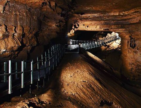 This incredible cave attraction is now open and you can cross the longest underground swinging bridge in the world, right here in Kentucky. Big Deborah, Kentucky Camping, Kentucky Attractions, Kentucky Vacation, Land Between The Lakes, Kentucky Travel, Swinging Bridge, Underground Caves, Mammoth Cave