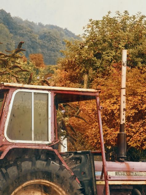 Country Farm Aesthetic, English Farm Aesthetic, Farmboy Aesthetic, Cottagecore Farm Aesthetic, Country Side Cottage, Orange Farm Aesthetic, Vintage Farm Aesthetic, Farm Boy Aesthetic, 80s Farm Aesthetic