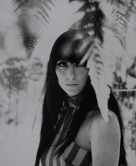 Cher 60s, Young Cher, Cher Show, The Cher Show, Cher And Sonny, Cher Photos, I Got You Babe, Bob Mackie, Long Black Hair