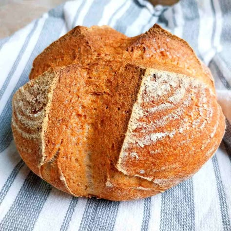 100% Brown Rice Sourdough Bread (Gluten-Free) - Natasha's Home Brown Rice Flour Bread Recipe, Brown Rice Sourdough Bread, Brown Rice Flour Sourdough Bread, Brown Rice Flour Recipes, Rice Flour Bread, Brown Rice Bread, Baked Brown Rice, Rice Flour Recipes, Gluten Free Sourdough Starter