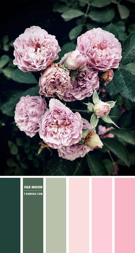 Color inspiration images Archives 7 - Fab Mood | Wedding Colours, Wedding Themes, Wedding colour palettes Sage Green And Blush Pink Wedding Colour Palettes, Sage Green And Pink Colour Palette, Light Pink Colour Palette, Colours That Go With Pink, Green And Blush Color Palette, Light Pink Color Palette, Pink And Green Colour Palette, Taupe Color Schemes, Wedding Colour Palettes