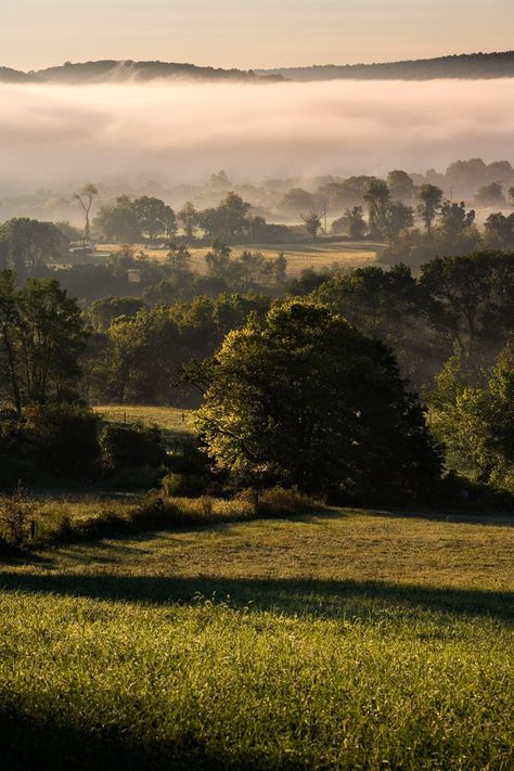 Delaware River fog, Pennsylvania Pennsylvania Photography, Pocono Mountains, Sea To Shining Sea, Delaware River, Of Montreal, Mountain Scene, Romantic Getaways, Delaware, Durham