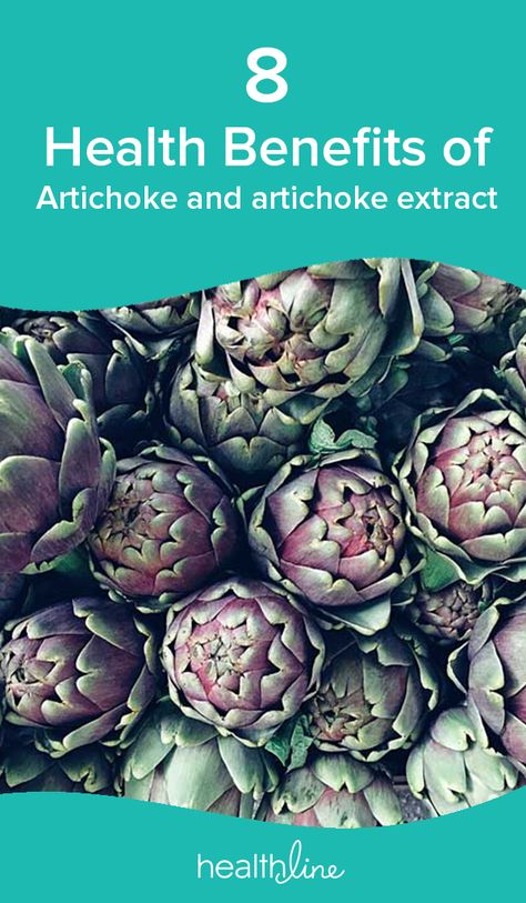 Artichoke Leaf Benefits, Artichoke Health Benefits, Health Benefits Of Artichokes, Artichoke Tea Benefits, Artichoke Leaf Extract Benefits, Artichoke Extract Benefits, Benefits Of Artichokes, Artichoke Benefits, Artichoke Extract