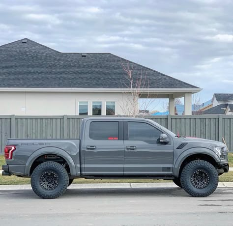 Ford F150 Fx4, Roush Mustang, Fords 150, Baja Truck, Chevy Trucks Silverado, Ford F150 Xlt, Ford Trucks F150, Diy Workout, Ford F Series