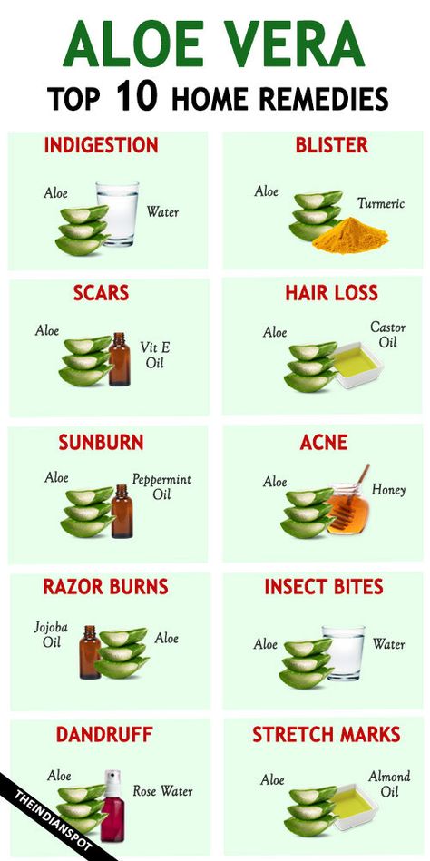 Aloe vera is likely one of the most versatile pure elements on the market, which can be utilized in a number of methods from lowering and lightening s... Check more at [post_tags] Aloe Vera For Scars, Aloe Vera Remedies, Aloe Vera For Sunburn, Natural Remedies For Sunburn, Aloe Oil, Grow Nails Faster, Fresh Aloe Vera Gel, Top 10 Home Remedies, Pure Aloe Vera Gel