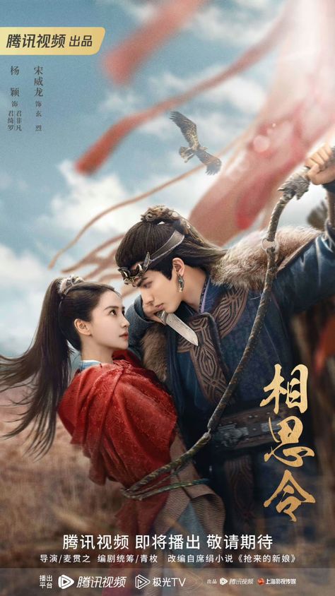 Eternal Love Drama, Penguin Pictures, Chinese Historical Drama, Song Wei Long, Series Poster, Drama Tv Shows, Asian Film, Chinese Films, Movie Posters Design