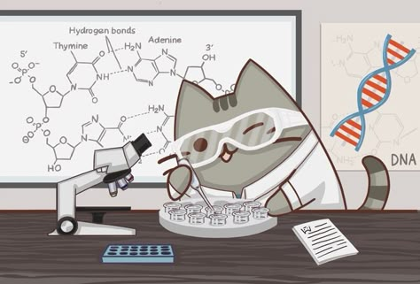 Wildlife Biology, Science Cat, Medical Laboratory Science, Physical Geography, Pusheen Cat, Forensic Science, Medical Laboratory, Laboratory Science, Molecular Biology