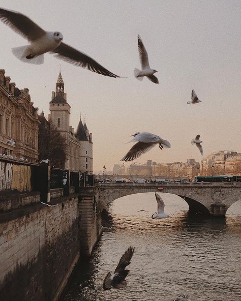 Lauren Core, Spring In Paris, Aesthetic Place, Dark Acadamia, Dark Academia Aesthetic, Academia Aesthetic, Beige Aesthetic, Brown Aesthetic, Old Buildings