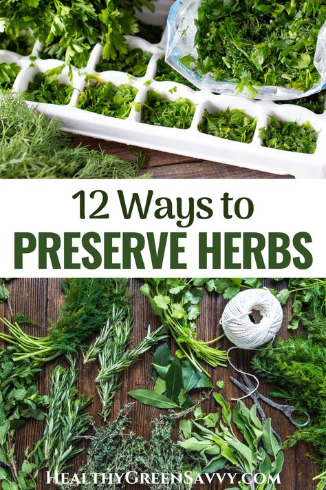 Want to preserve some of those delicious herbs from your garden? Check out these 12 ways to preserve herbs and enjoy the flavors of summer all year round. | preserving herbs | how to preserve herbs | seasonal eating | home food preservation | Herb Preservation, Preserve Herbs, Storing Herbs, Preserve Fresh Herbs, Store Fresh Herbs, Drying Fresh Herbs, Herbal Vinegar, Solar Punk, Freezing Herbs