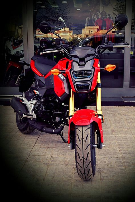 #honda#msx#msx125#grom#lebanon Honda Msx 125, Moto Honda, Lebanon, Motorcycles, Quick Saves