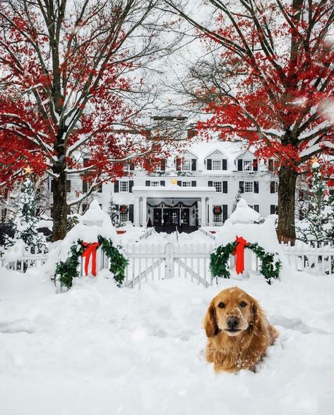 Kjp Christmas, Weeks Until Christmas, Snow Place, Days To Christmas, Farmhouse Inspiration, James Patrick, Married Christmas, Days Until Christmas, Winter Wonder