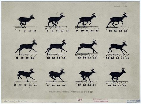 [http://www.textweek.com/yeara/adventa3.htm] http://vintageprintable.com/wordpress/vintage-printable-seasonal/seasonal-winter/winter-reindeer/#jp-carousel-63316 Reindeer Run, Running Drawing, Deer Drawing, Deer Running, Some Drawings, Run Cycle, Animation Sketches, Animation Tutorial, Vintage Printable