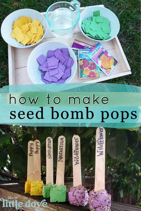 Seed Activities For Kids, Bomb Pops, Seed Craft, Market Day Ideas, Garden Crafts For Kids, Kids Market, Earth Day Projects, Hanging Craft Ideas, Girl Scout Activities