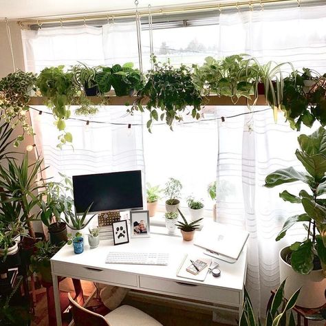 DIY Plant shelf above window, giving off an urban jungle vibe Diy Hanging Plant Shelf, Indoor Plant Shelf Ideas, Window Shelf Ideas, Above Window Decor, Shelf Over Window, Shelf Above Window, Trailing Pothos, Plant Shelf Decor, Window Shelves For Plants