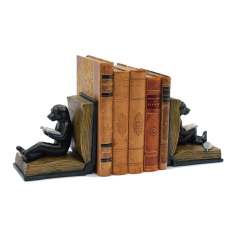 Dogs Reading, Resin Bookends, Pottery Book, Home Office Cabinet, Bookends Decor, Shelves Decoration, Dog Reading, Book Dimensions, Decor Shelves