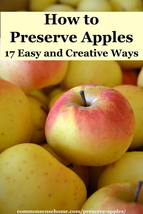 The easiest way to preserve apples, best storage apples, and lots of creative ideas to get full use of apple abundance, from apple jam to hard cider Preserve Apples, Cider Drink Recipes, Preserving Apples, Apple Salsa, Homemade Fruit Leather, Dehydrated Apples, Apple Pie Filling Recipes, Apple Chutney, Hard Apple Cider