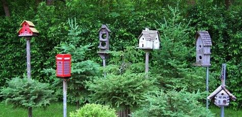 10 great ways to display birdhouses in your garden, gardening Birdhouse Displays Ideas, Birdhouse Display Ideas Gardens, Birdhouse Display Ideas, Birdhouses On Fence, Bird House Community, Birdhouses In The Garden, Birdhouse Community, Bird Condo Birdhouses, Restoration Hardware Outdoor