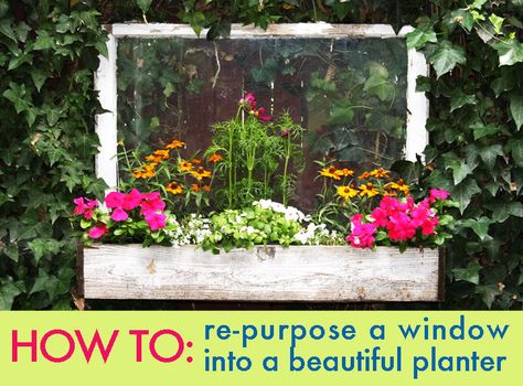 Diy Window Planter, Window Flower Boxes, Old Window Crafts, Window Planter, Fence Planters, Window Crafts, Window Box Flowers, Window Planters, Window Projects