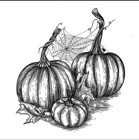 Pumpkin Patch Sketch, Autumn Sketches Pencil, Pumpkin Patch Tattoo, Spooky Drawings Sketches, Pumpkin Patch Drawing, Fall Sketches Drawing, Pumpkin Etching, Autumn Sketches, Pumpkin Drawings