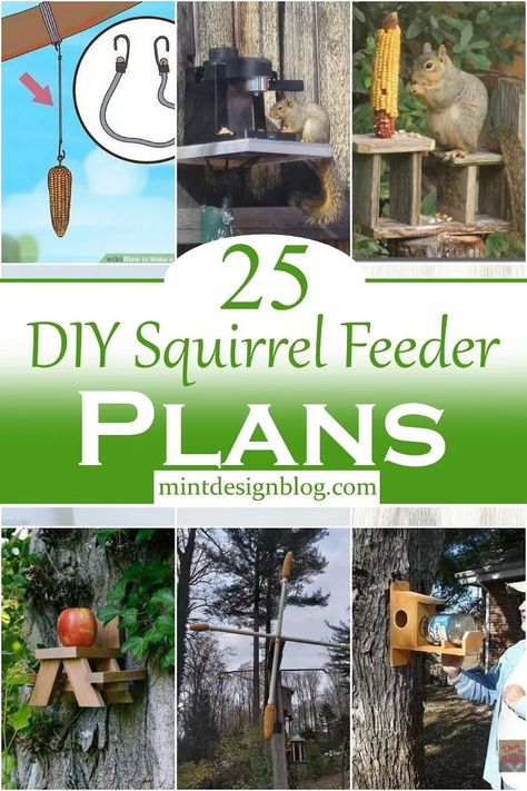 25 DIY Squirrel Feeder Plans Squirrel Feeder Plans, Diy Squirrel Feeder, Squirrel Feeder Diy, Squirrel House, Squirrel Home, Barn Birdhouses, Squirrel Feeders, Squirrel Feeder, Beautiful Horse Pictures