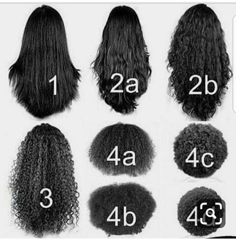 Hair Types Chart, Hair Type Chart, Hair Chart, Type Chart, Puffy Hair, Color Wigs, Hair Length Chart, Short Hair Hacks, Lifeless Hair