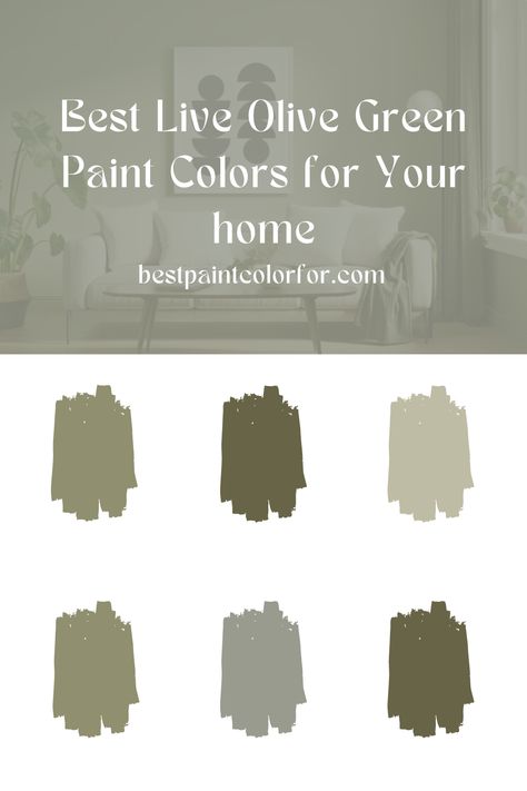 The best light olive green paint colors Light Olive Green Paint, Olive Green Paint Colors, Olive Green Paint, Green Exterior Paints, Sherwin Williams Green, Olive Green Paints, Paint Color Guide, Olive Green Walls, Green Accent Walls