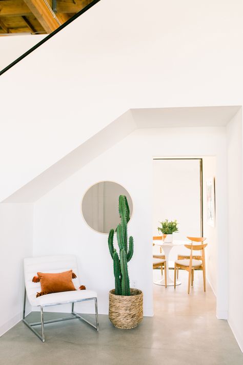 Create & Cultivate Clubhouse // big cactus indoor, circle mirrors on wall, white chair office, natural lighting office White Walls Decor Ideas, White Walls Decor, Mirrors On Wall, Circle Mirrors, Cactus Home Decor, Cactus Indoor, Trendy Throw Pillows, Vacation House Plans, Lighting Office