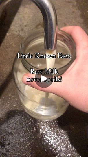 Milk Processing, Hobby Farming, Fermented Milk, Hobby Farms, Healing Herbs, Eating Raw, Lactic Acid, Fermenting, Canning Recipes