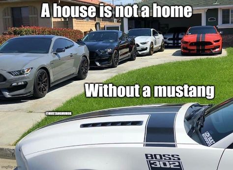 Car Guy Quotes, Mustang Humor, Guy Quotes, V8 Cars, Car Jokes, Funny Car Memes, Cool Dirt Bikes, Mustang Boss 302, Car Memes